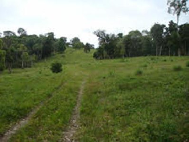 Foto 1 - Fazenda em Santa Catarina,  1,160  hec-