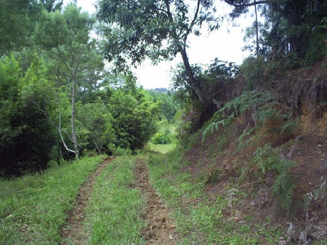 Foto 9 - Fazenda em Santa Catarina,  1,160  hec-