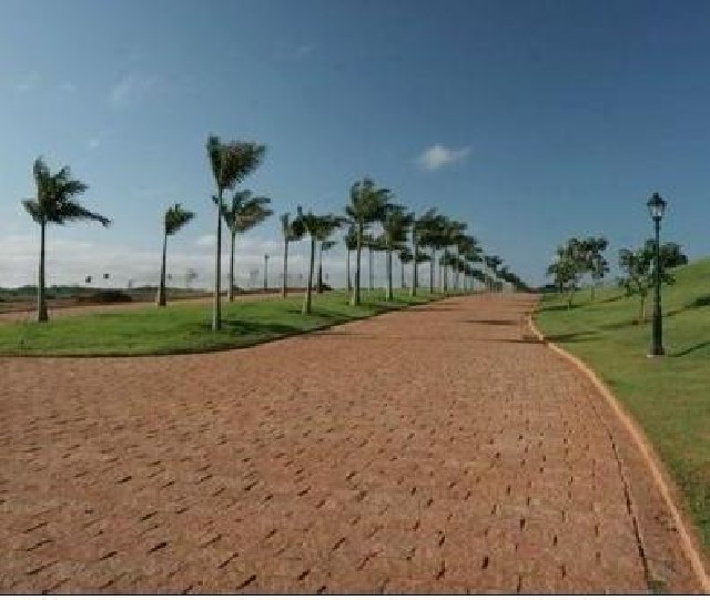 Pedras