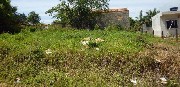 Foto 2 - Anncio 45-538477